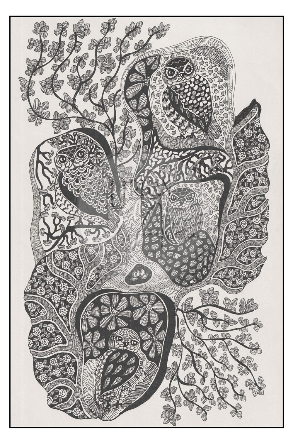 Owlscape - 2